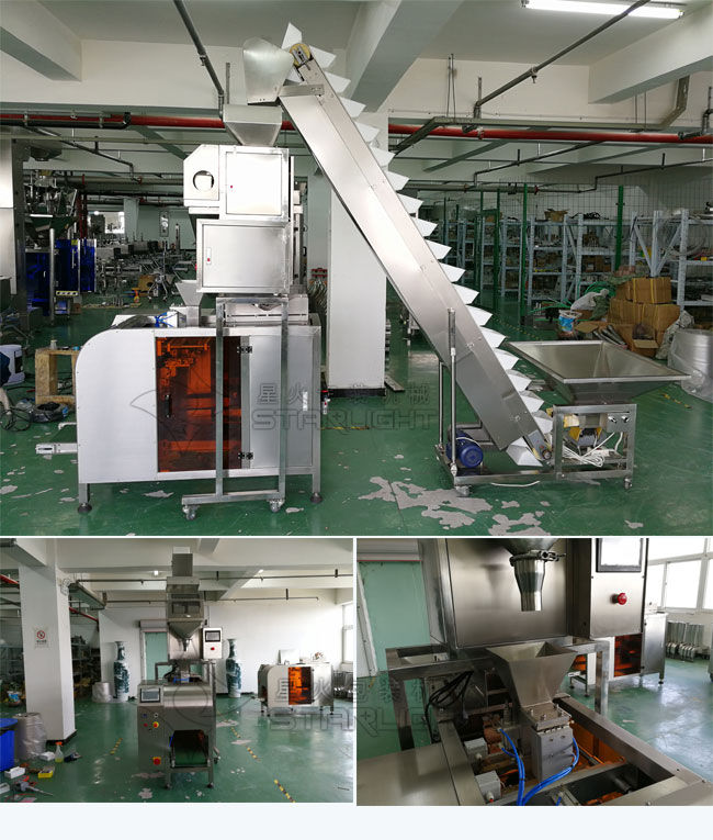 星火全自動(dòng)棗片包裝機(jī)生產(chǎn)設(shè)備展示